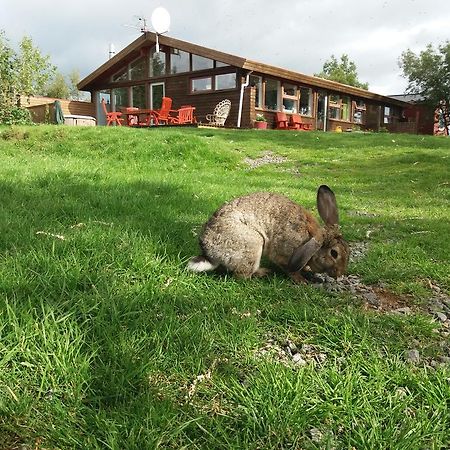 A Pousada Geysir Hestar Haukadalur Exterior foto