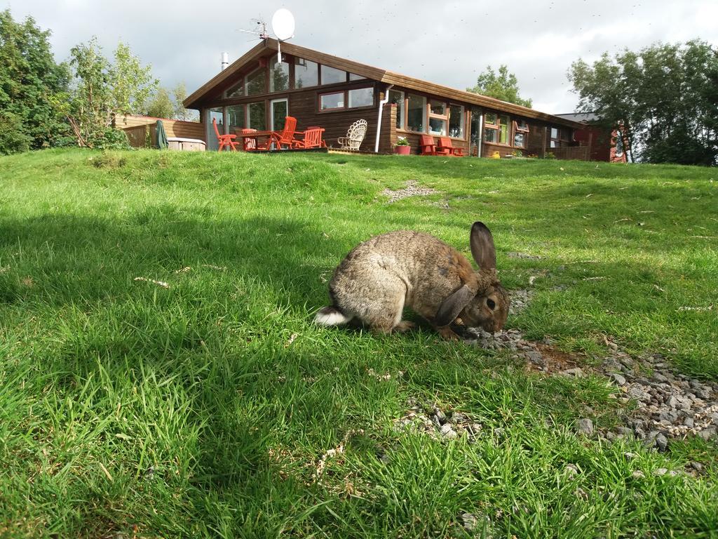 A Pousada Geysir Hestar Haukadalur Exterior foto